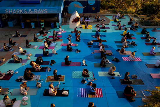 An overhead view of many UC San Diego students on their mats at a large yoga event
