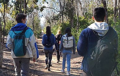 UC San Diego student hike together along a tree-lined nature trail